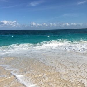 Meet your Posher, Sam